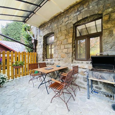 Apartment Carol Private Yard With Barbeque And Parking Sinaia Bagian luar foto