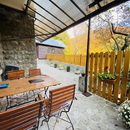 Apartment Carol Private Yard With Barbeque And Parking Sinaia Bagian luar foto