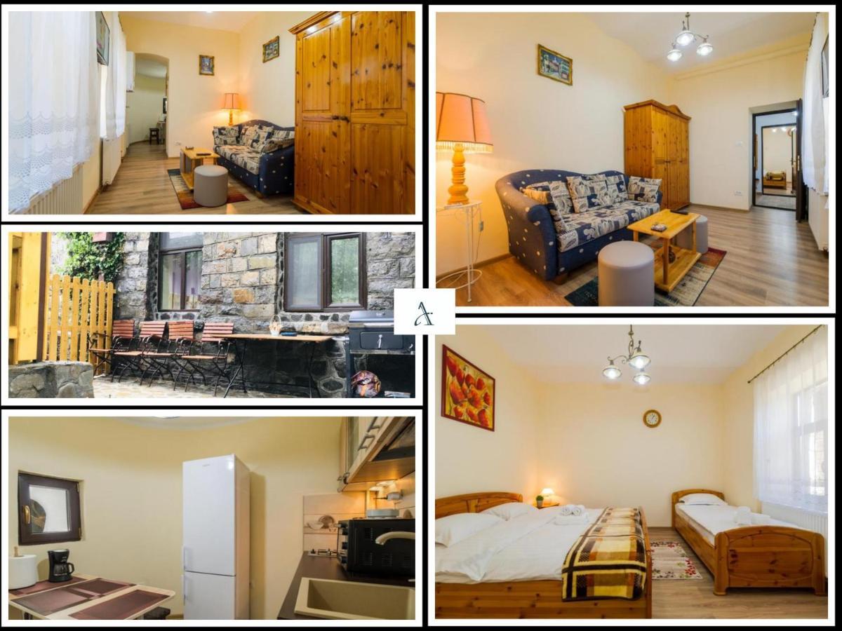 Apartment Carol Private Yard With Barbeque And Parking Sinaia Bagian luar foto