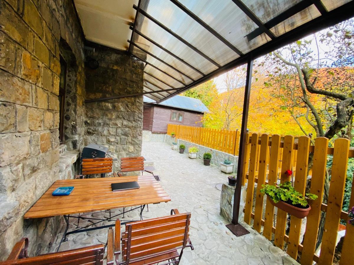 Apartment Carol Private Yard With Barbeque And Parking Sinaia Bagian luar foto