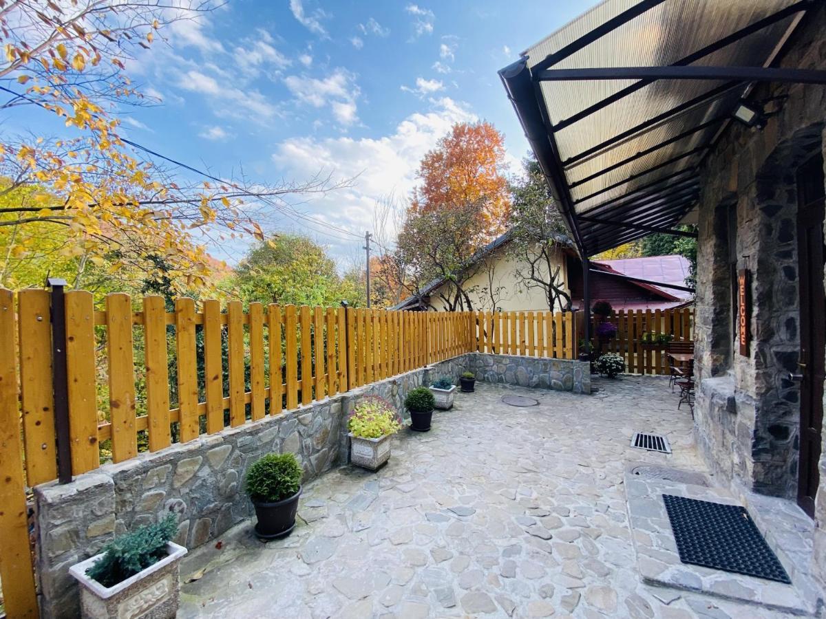 Apartment Carol Private Yard With Barbeque And Parking Sinaia Bagian luar foto