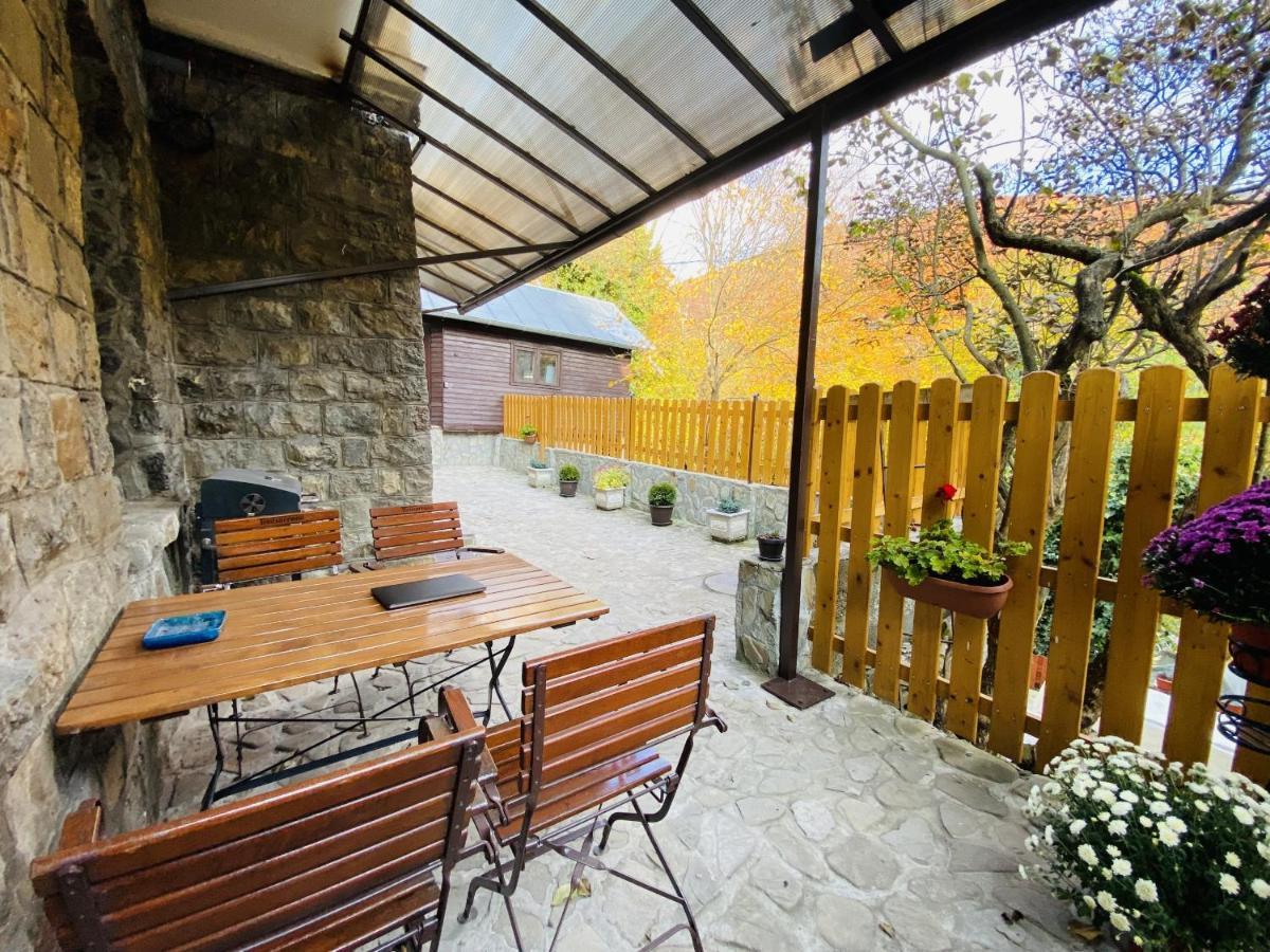 Apartment Carol Private Yard With Barbeque And Parking Sinaia Bagian luar foto