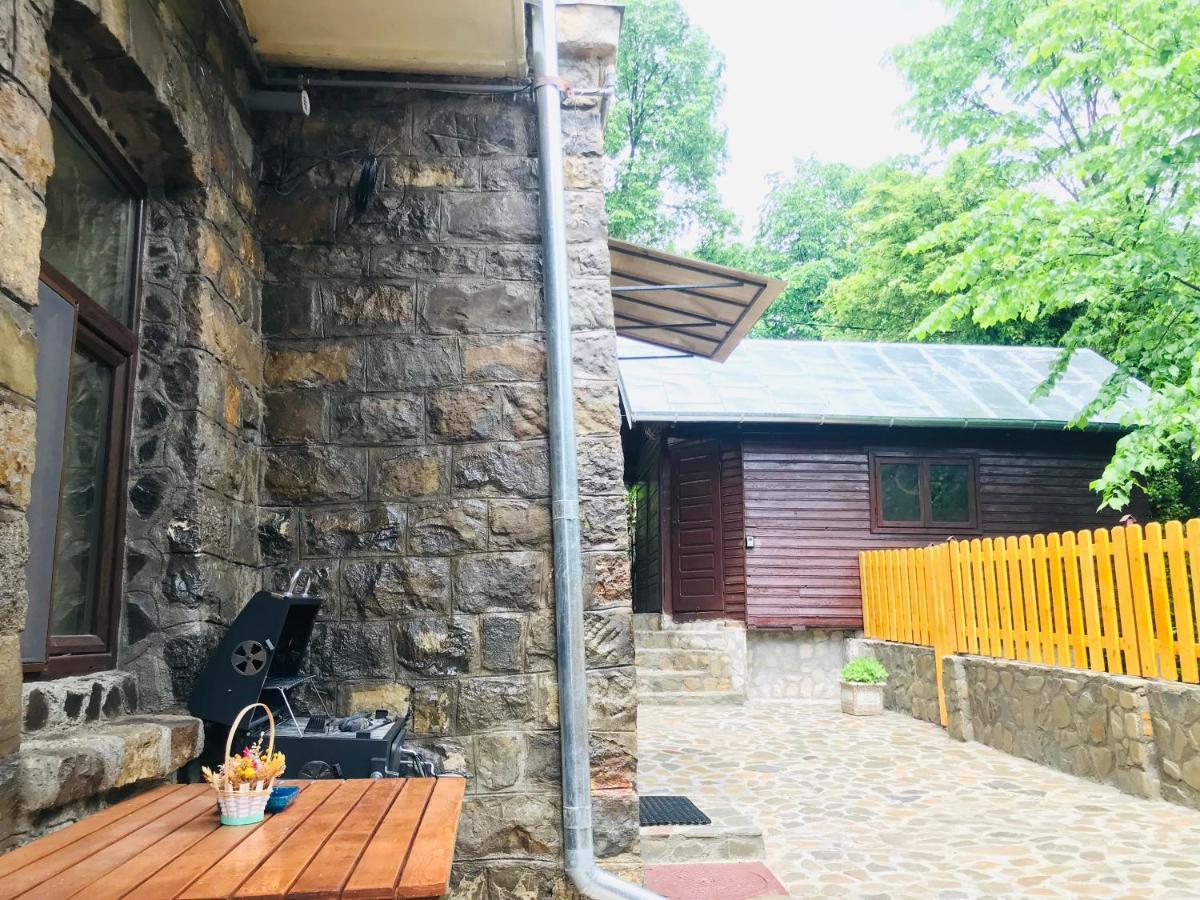 Apartment Carol Private Yard With Barbeque And Parking Sinaia Bagian luar foto